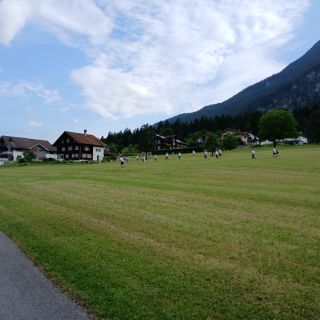 Loading...